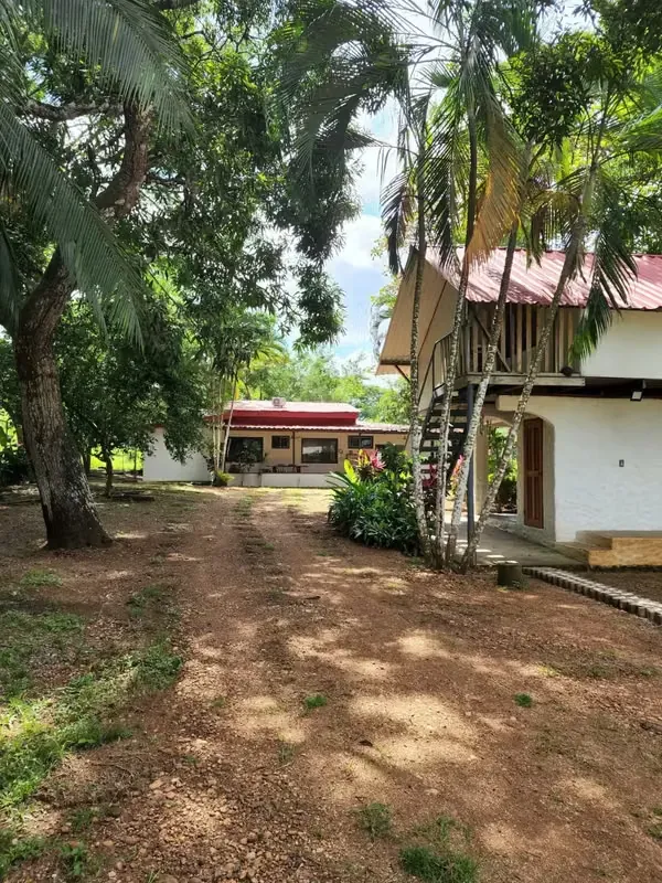 Nestled in the vibrant heart of Playa Tambor, Puntarenas, this exceptional property, known as "La Casa de la Rana & La Ranita," ...