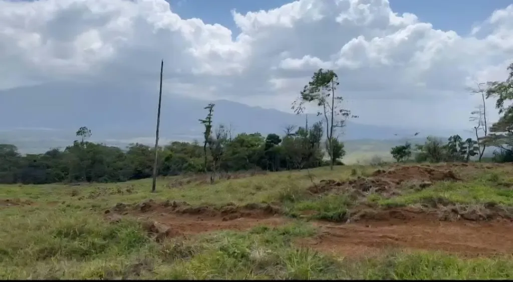 Finca en Aguas Claras de Upala