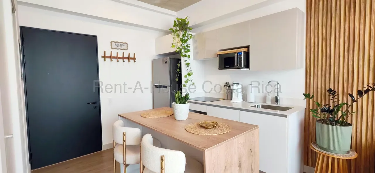 Alquiler de Lindo Apartamento de Inversión en Qbo, Rohrmoser