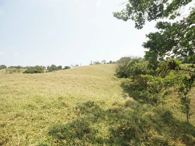 SE VENDE FINCA EN SAN RAMON DE ALAJUELA