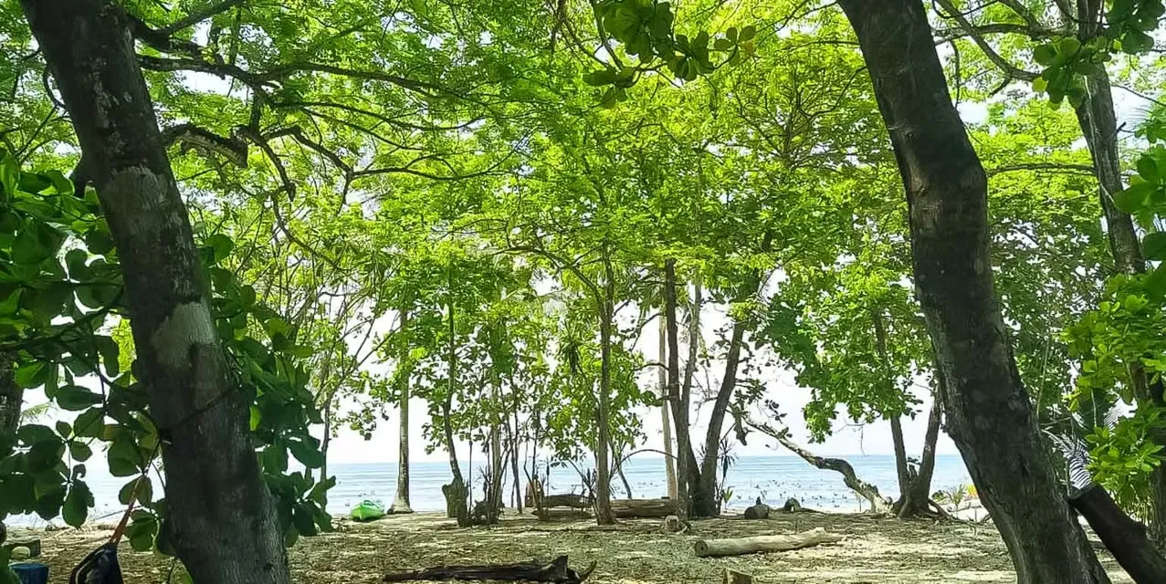 Terreno en Concesión Frente al Mar en Cabuya, Santa Teresa