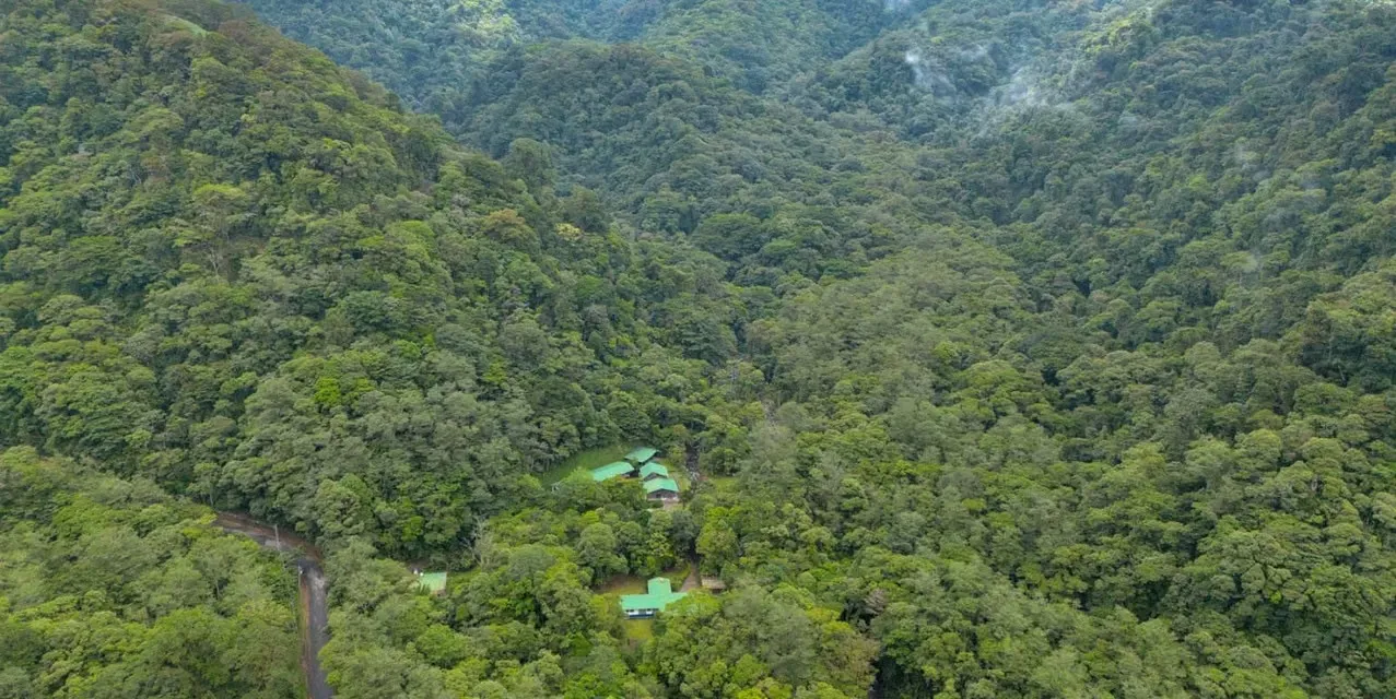 Bosque de Paz en Bajos de Toro
