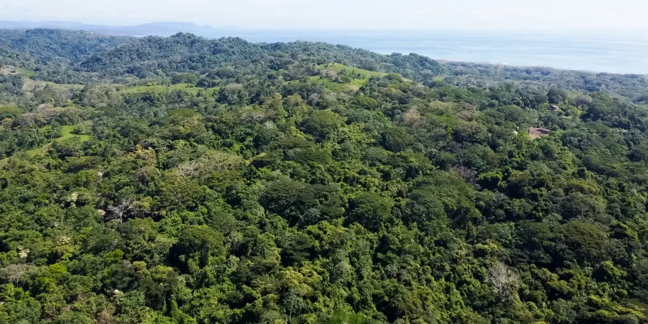 Alturas del Horizonte Azul en Mal País