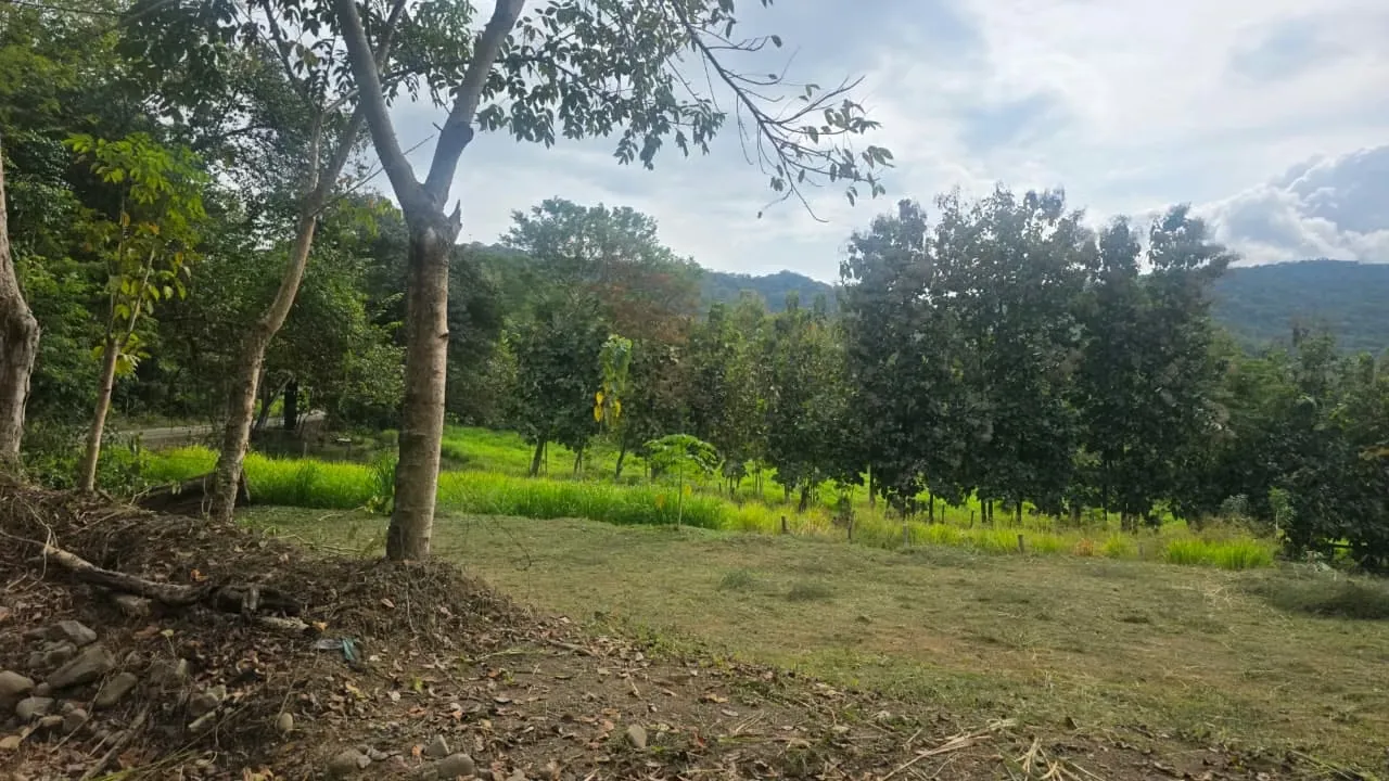 Beautiful lot for sale located in Bajos Negros Paquera Puntarenas