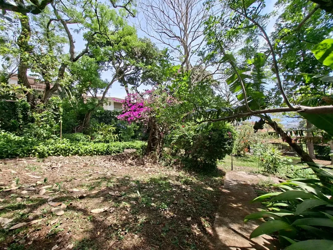Venta de Terreno en Escazú, una de las zonas de más alta plusvalía
