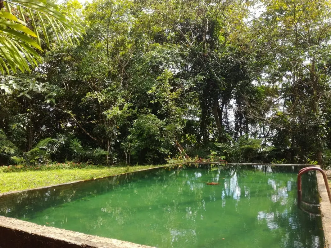Farm for sale with natural beauty and production potential $1,650,000