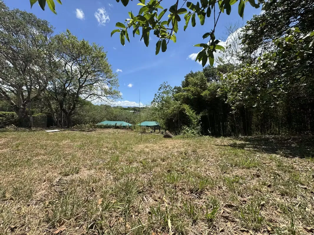 Lot for sale in Ciudad Hacienda Los Reyes | 1,257 m² | 22 m Frontage | Exclusivity and Nature