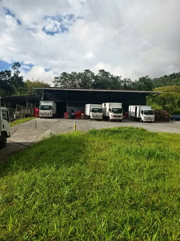 Venta de Propiedad Comercial/Industrial con Dos Bodegas y Distribución de Productos – Turrialba