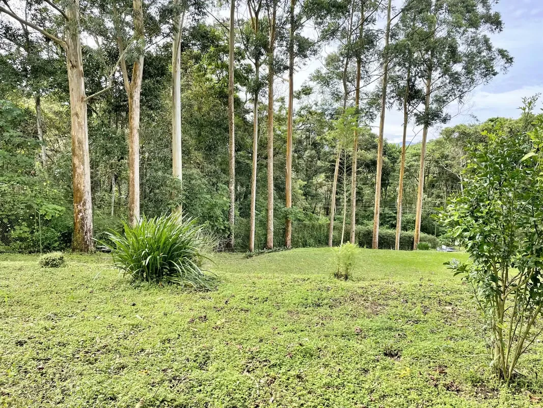 Venta lote residencial rodeado de naturaleza, San Ramón. (AD)