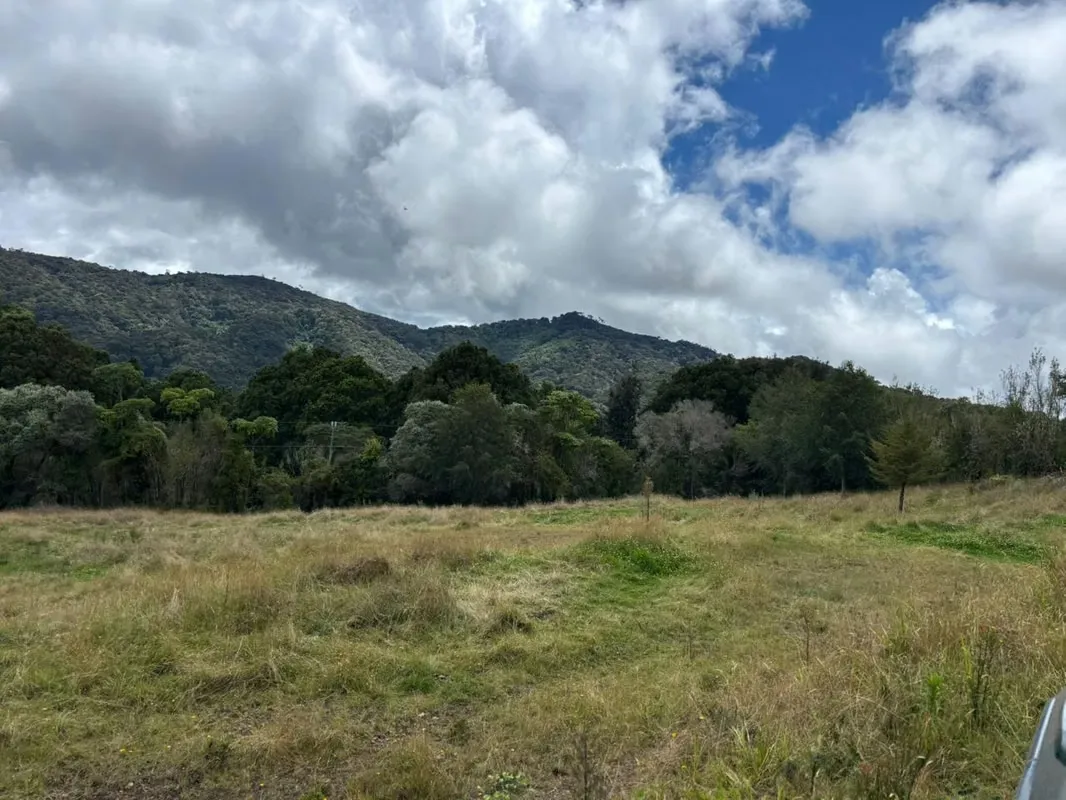 TERRENOS UNICOS DE MONTAÑA EN PARAMO SAN GERARDO DE DOTA 7 HTS