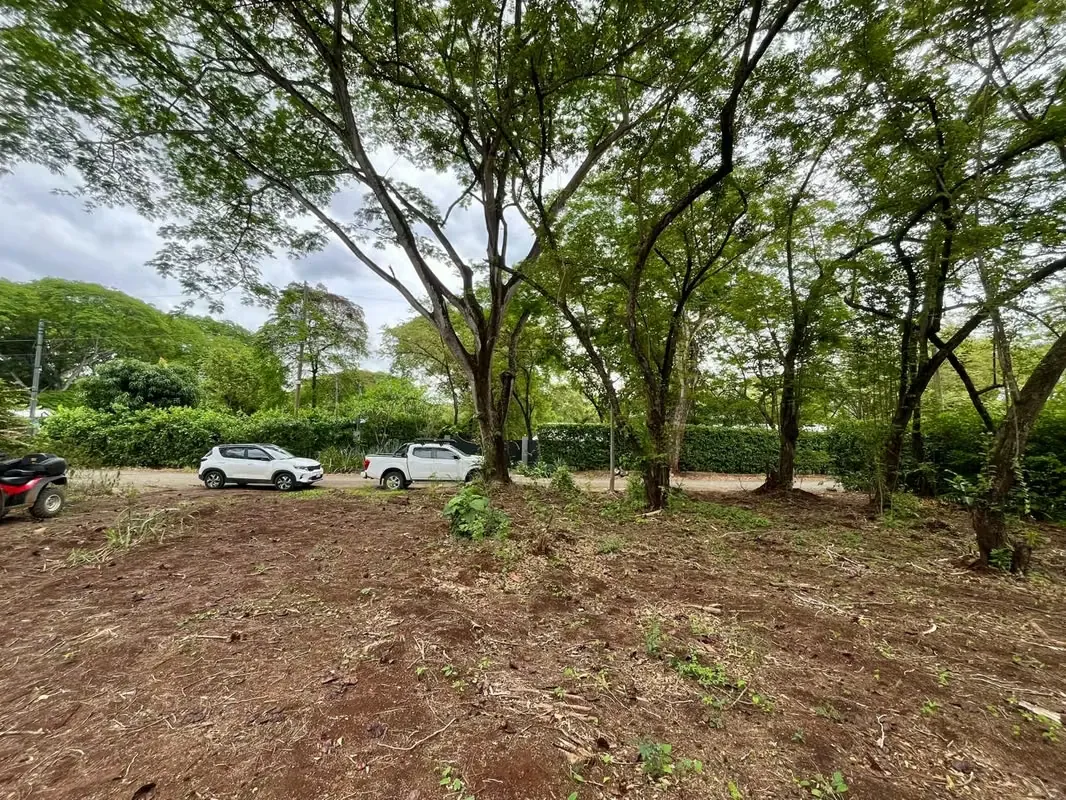 Amplio lote rodeado de naturaleza en Black Stallion Community – Linderos