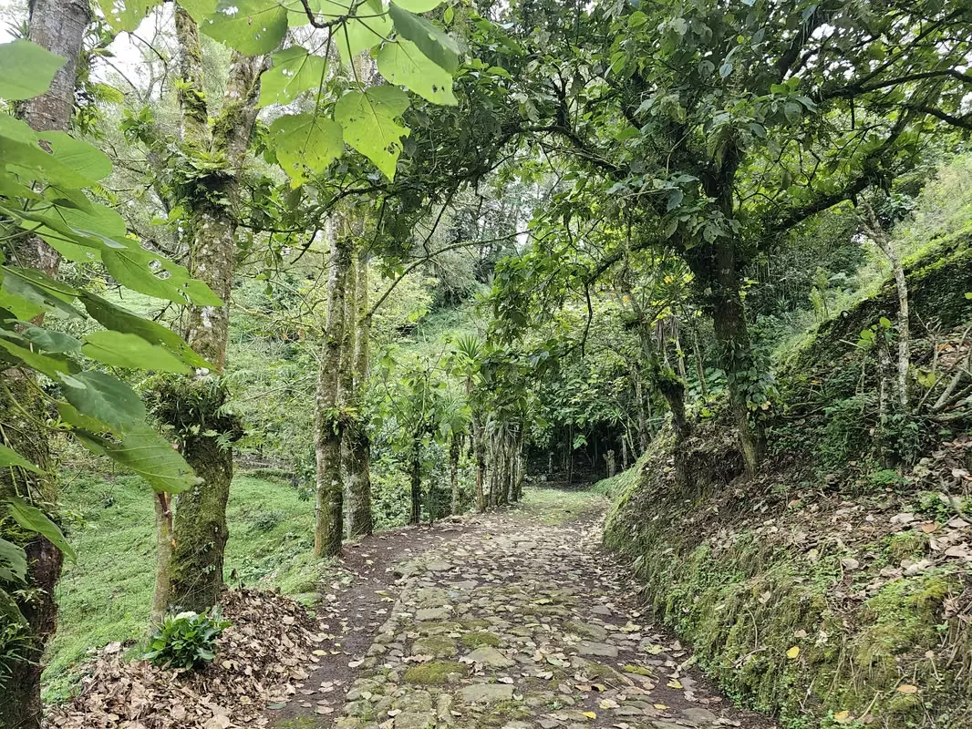 MA Asesorías vende hermosa finca en Las Nubes de San Rafael de Coronado, San José