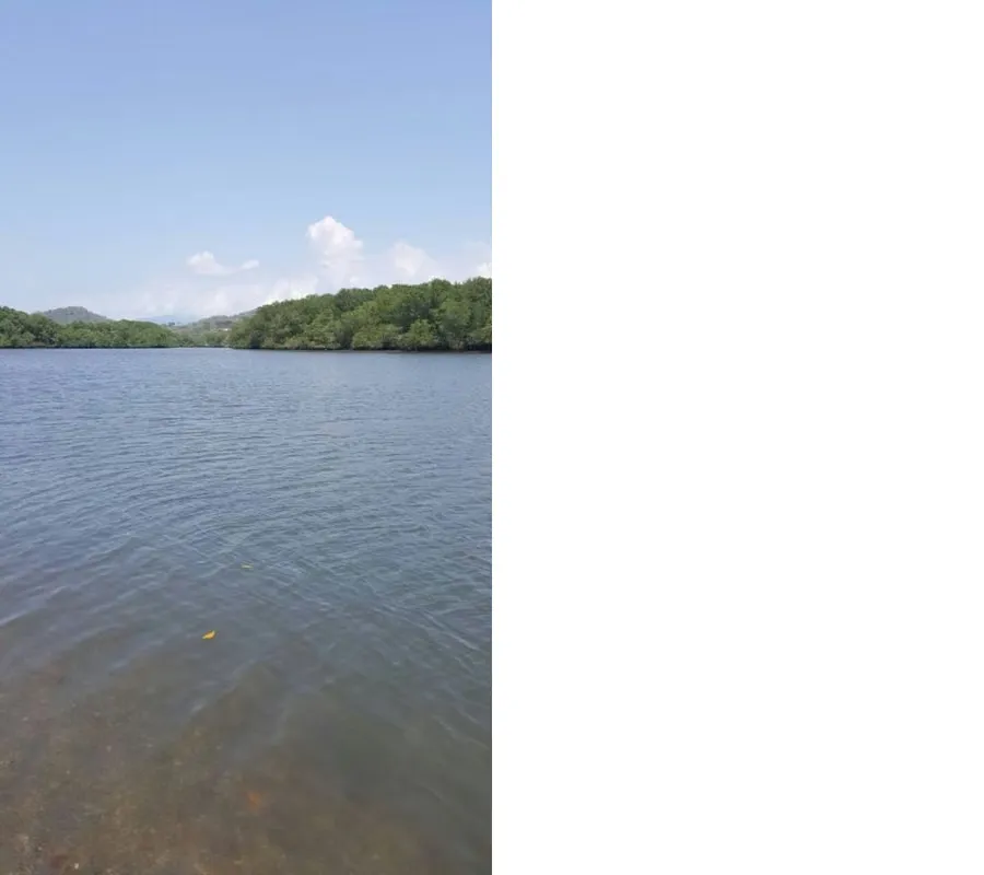 Venta de lote en Mata de Limón, Esparza, Puntarenas