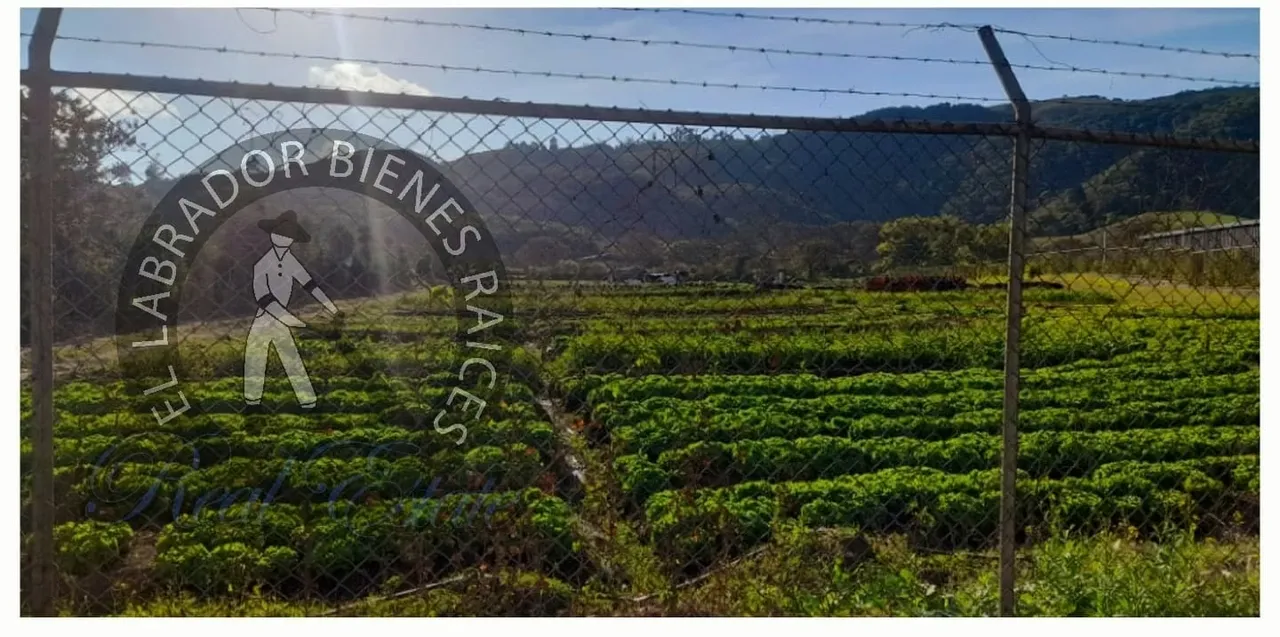 INDUSTRIAL LAND FOR SALE IN CARTAGO.