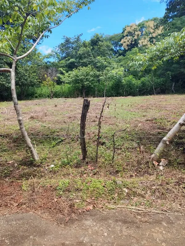 Lote de 600 m² en Nicoya – Excelente oportunidad para construir o invertir