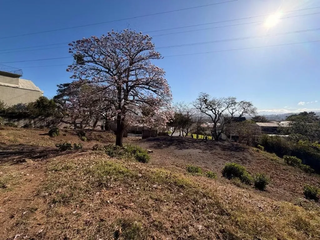 Lote de 600 m² con topografía totalmente plana y hermosa vista a la ciudad, ubicado en una exclusiva calle sin ...
