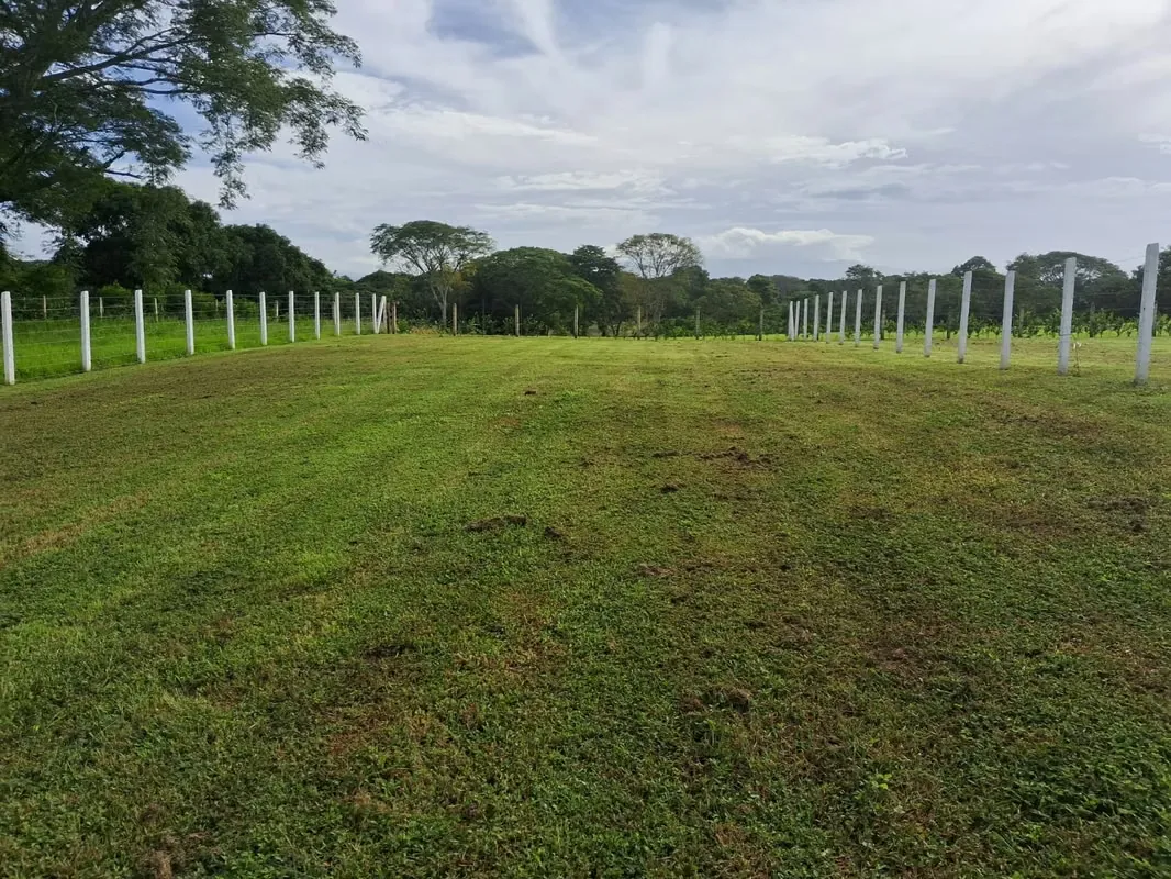 Venta de Lotes en Lagunillas / Orotina / Alajuela