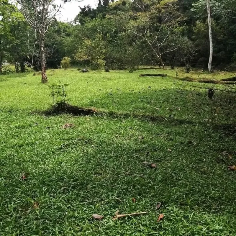 Cerca del centro, en Buenos Aires de Guápiles, 1klm al sur de la Carretera 32.