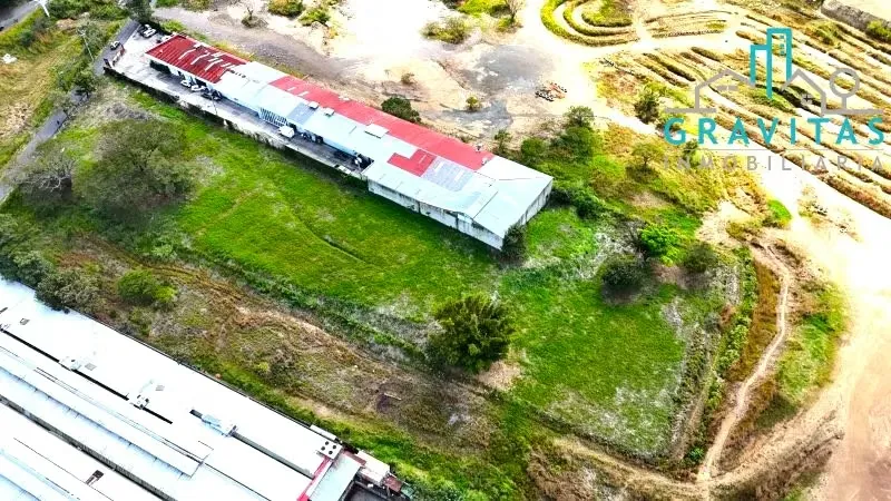 Land for sale in Santa Ana FOR DEVELOPMENT (8137 m2) ID 1664